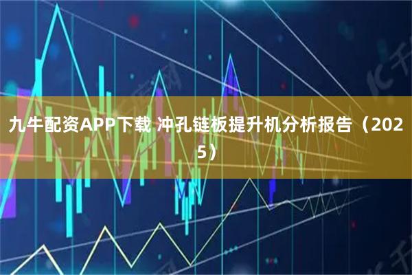 九牛配资APP下载 冲孔链板提升机分析报告（2025）
