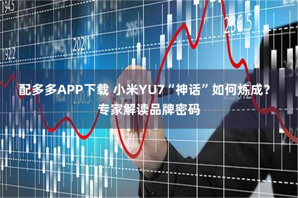 配多多APP下载 小米YU7“神话”如何炼成？ 专家解读品牌密码